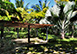 Casa Carey Dominican Republic Vacation Villa - Punta Cana