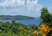 Plantation House Caribbean Vacation Villa - Mustique, Grenadines