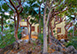 Treehouse at Steele Point British Virgin Islands Vacation Villa - Tortola