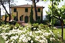 Umbria Italy Vacation Rental Home