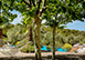 Pebble Beach Retreat Spain Vacation Villa - Banyalbufar, Mallorca