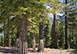Northstar Boulder Place 2 California Vacation Villa - North Lake Tahoe