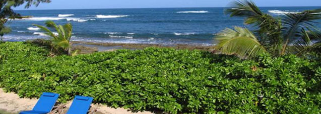 Kauai Holiday Rentals Hawaii