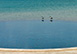 Blue Pelican Jumby Bay