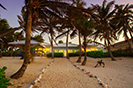 Coconut Beach Grand Cayman