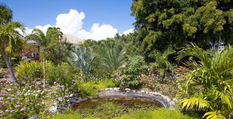 Villa Riviera French Side Vacation Villa - Saint Martin