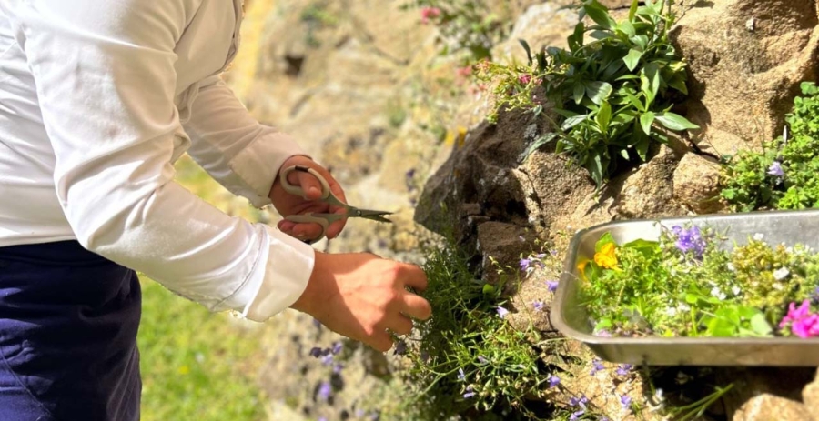 Bagnols France Holiday Rental