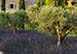 La Bastide de Laurence France Vacation Villa - Provence