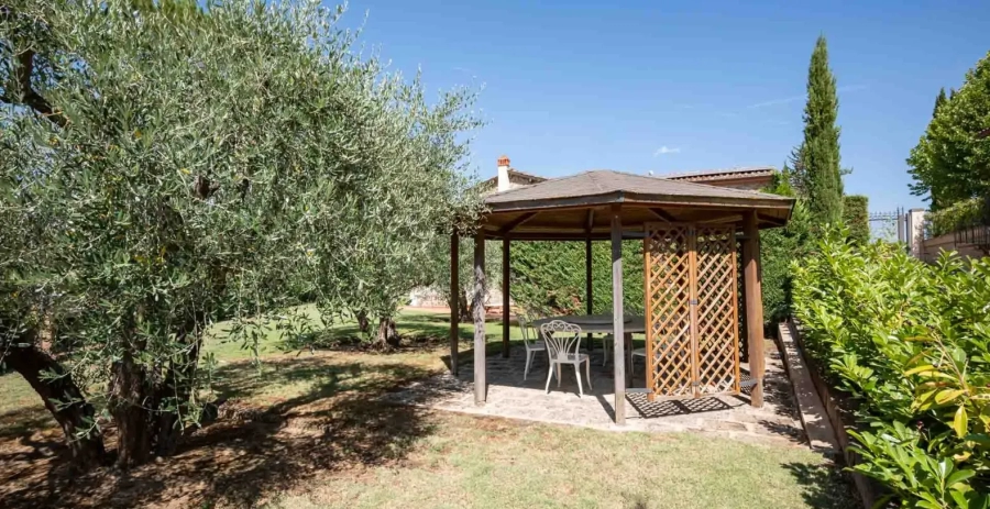 Colonica Oliveto Tuscany Vacation Villa - Italy