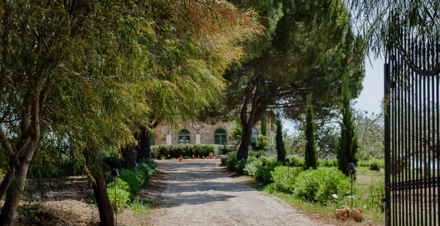 Fontes Episcopi  Tuscany Vacation Villa - Italy