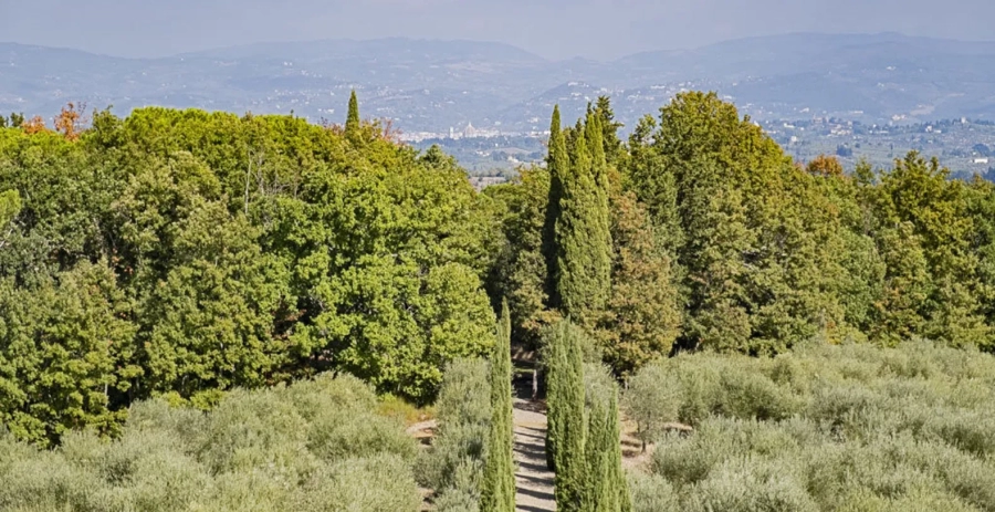 Palazzo Machiavelli Tuscany Vacation Villa - Italy