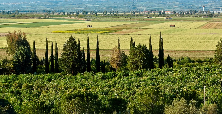 Villa Aranjaya Sicily Vacation Villa - Italy