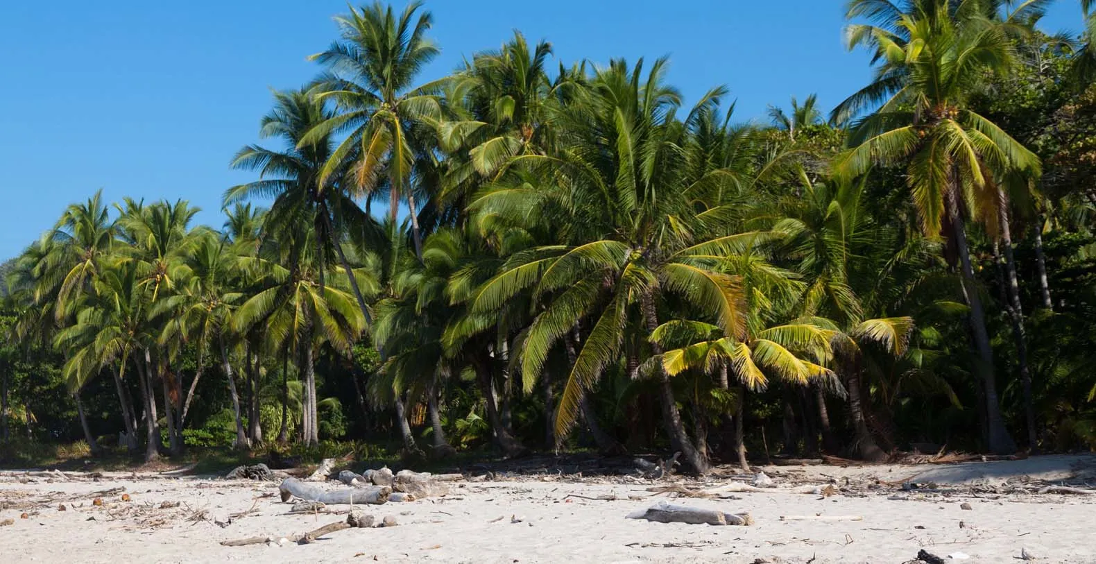 Casa Lanui Costa Rica Vacation Villa - Santa Teresa