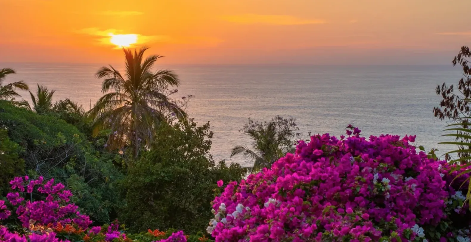 Amapas del Mar Mexico Vacation Villa - Puerto Vallarta