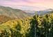 Silver Creek Lodge Colorado Vacation Villa - Snowmass