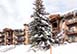 Woodbridge 17C Colorado Vacation Villa - Snowmass