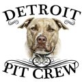Pit Crew Rescue Detroit